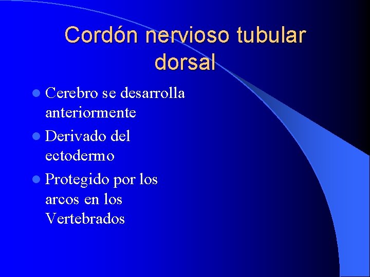 Cordón nervioso tubular dorsal l Cerebro se desarrolla anteriormente l Derivado del ectodermo l