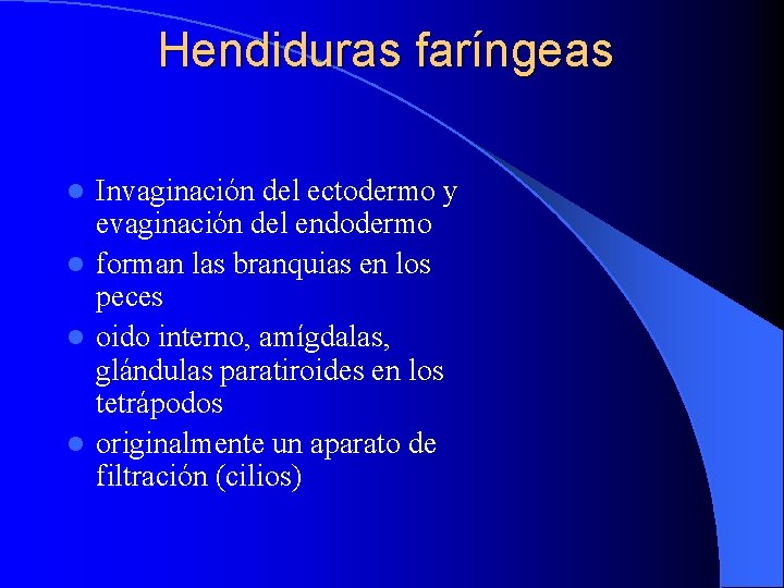 Hendiduras faríngeas Invaginación del ectodermo y evaginación del endodermo l forman las branquias en