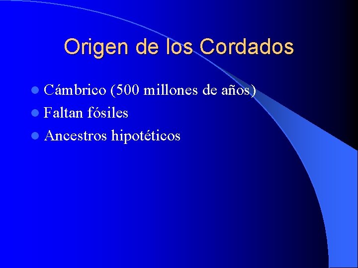 Origen de los Cordados l Cámbrico (500 millones de años) l Faltan fósiles l