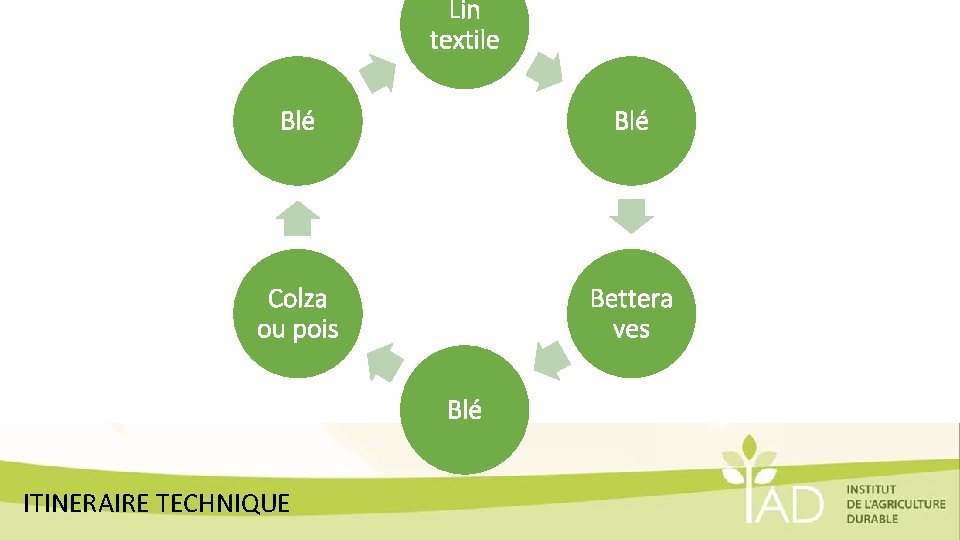 Lin textile Blé Colza ou pois Bettera ves Blé ITINERAIRE TECHNIQUE 