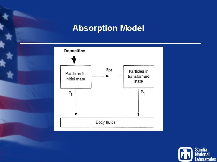 Absorption Model 