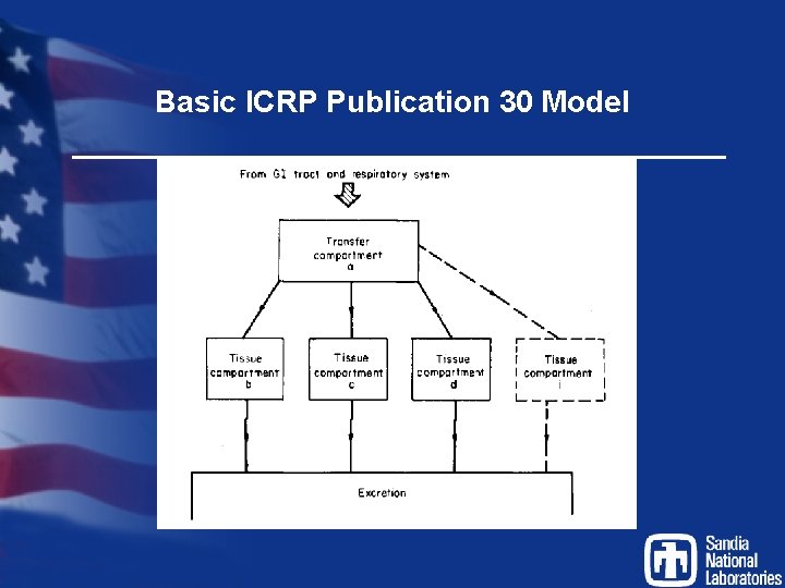 Basic ICRP Publication 30 Model 