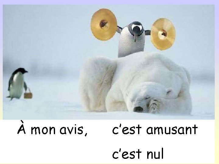 À mon avis, c’est amusant c’est nul 