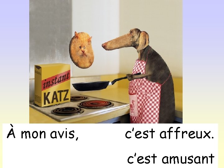 À mon avis, c’est affreux. c’est amusant 
