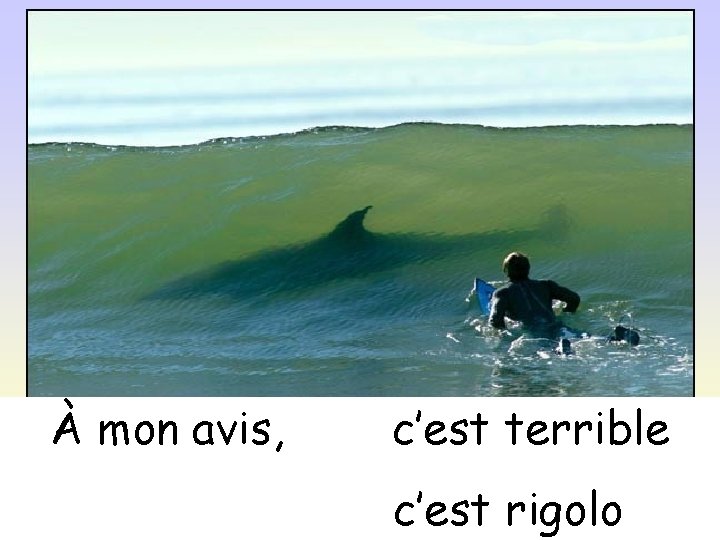 À mon avis, c’est terrible c’est rigolo 