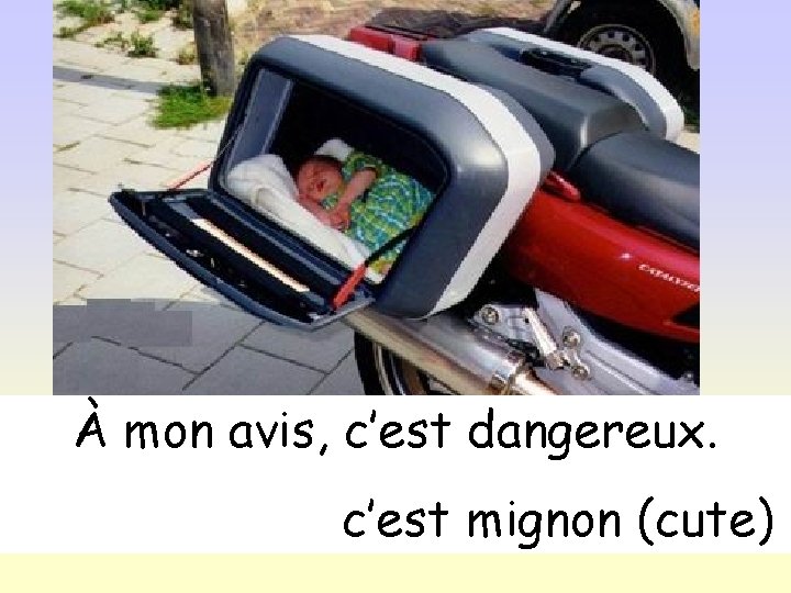 À mon avis, c’est dangereux. c’est mignon (cute) 