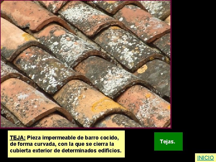 TEJA: Pieza impermeable de barro cocido, de forma curvada, con la que se cierra