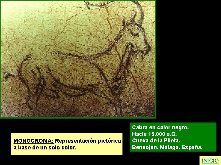 MONOCROMA: Representación pictórica a base de un solo color. Cabra en color negro. Hacia