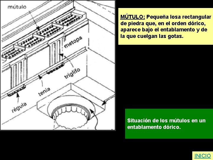 MÚTULO: Pequeña losa rectangular de piedra que, en el orden dórico, aparece bajo el