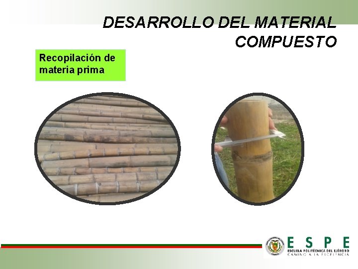 DESARROLLO DEL MATERIAL COMPUESTO Recopilación de materia prima 