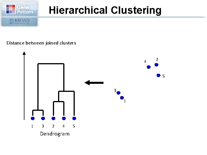 Hierarchical Clustering Distance between joined clusters 4 2 5 3 1 1 3 2