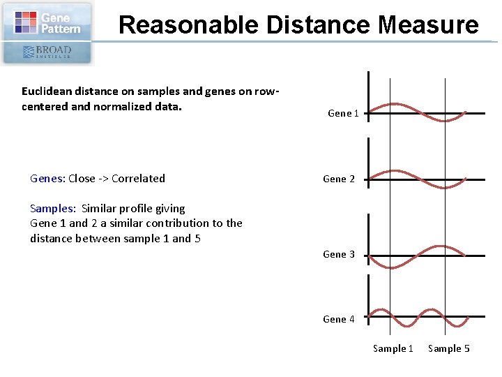 Reasonable Distance Measure Euclidean distance on samples and genes on rowcentered and normalized data.