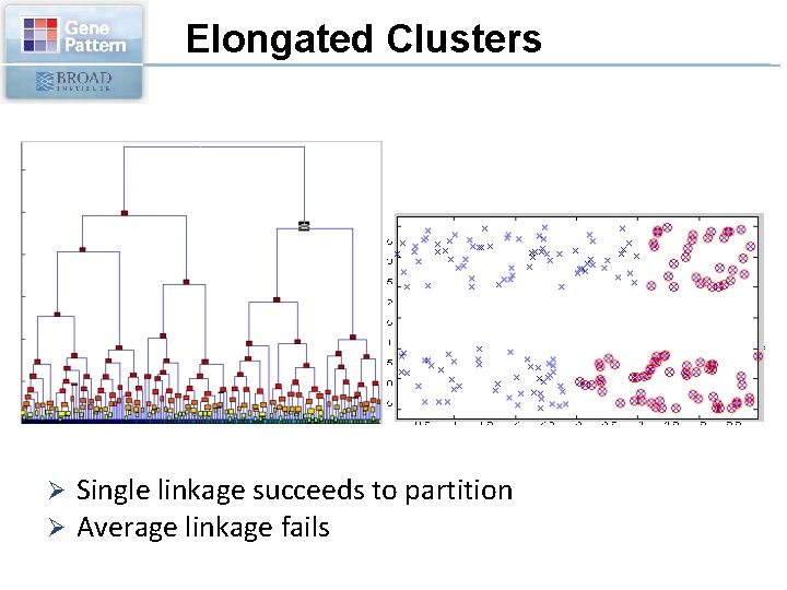 Elongated Clusters Ø Ø Single linkage succeeds to partition Average linkage fails 