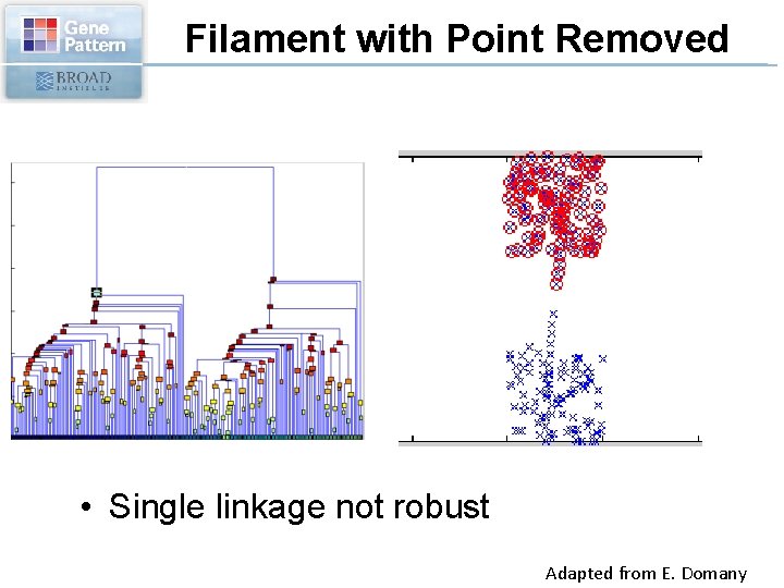 Filament with Point Removed • Single linkage not robust Adapted from E. Domany 