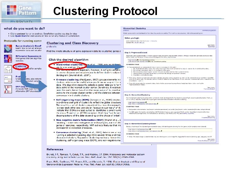 Clustering Protocol 