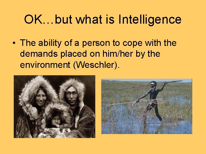 OK…but what is Intelligence • The ability of a person to cope with the