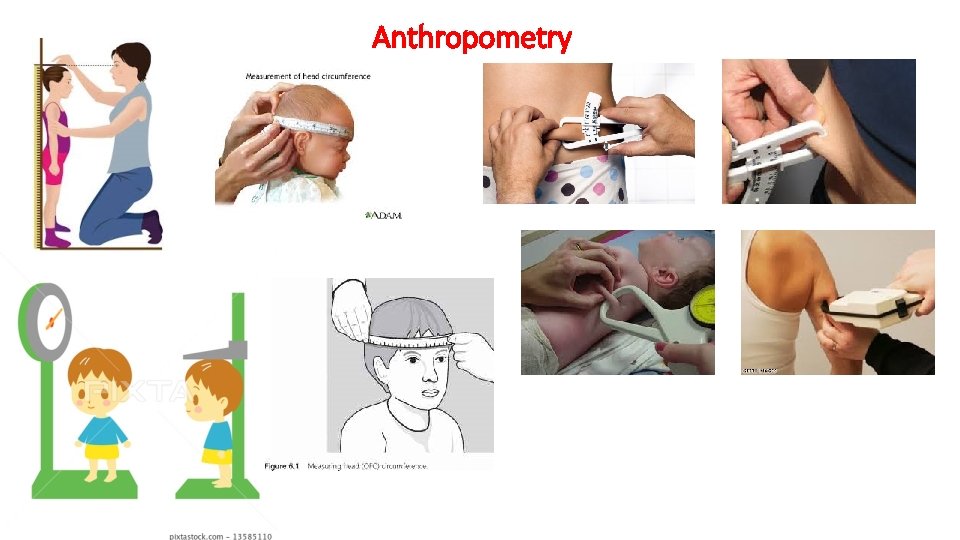 Anthropometry 