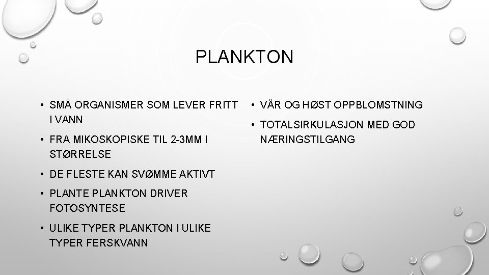 PLANKTON • SMÅ ORGANISMER SOM LEVER FRITT I VANN • FRA MIKOSKOPISKE TIL 2