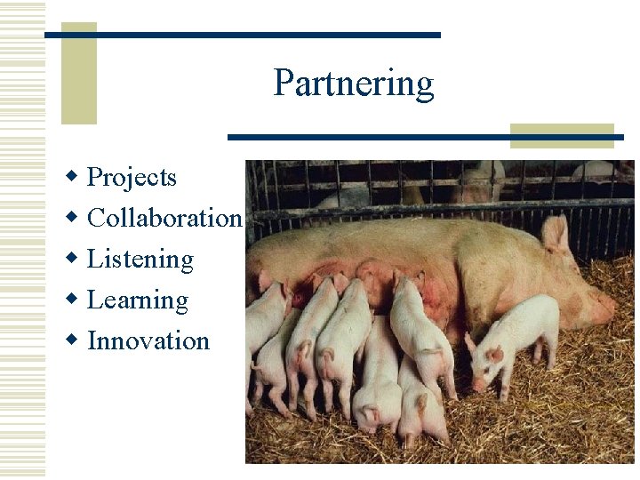 Partnering w Projects w Collaboration w Listening w Learning w Innovation 