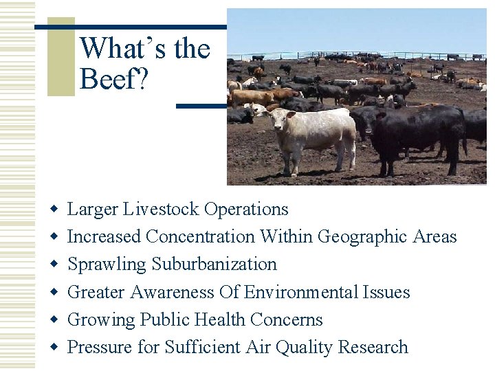 What’s the Beef? w w w Larger Livestock Operations Increased Concentration Within Geographic Areas