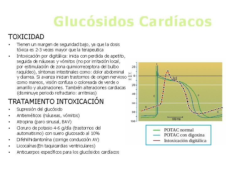 Glucósidos Cardíacos TOXICIDAD • • Tienen un margen de seguridad bajo, ya que la