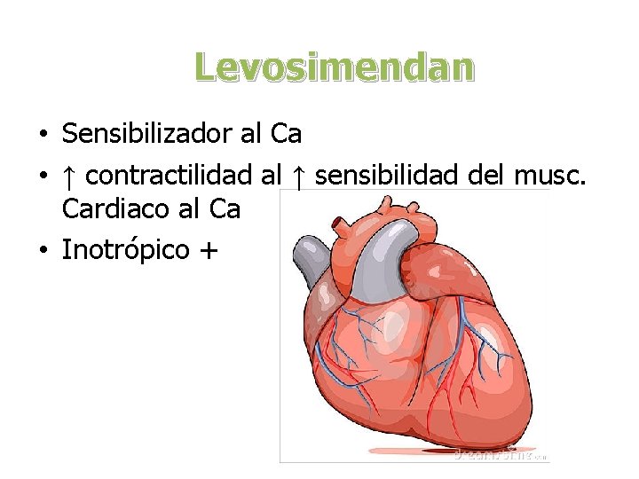 Levosimendan • Sensibilizador al Ca • ↑ contractilidad al ↑ sensibilidad del musc. Cardiaco