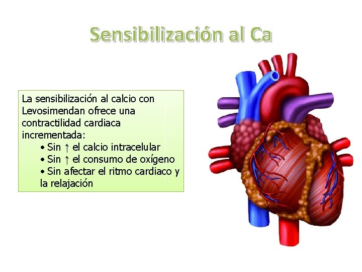 Sensibilización al Ca La sensibilización al calcio con Levosimendan ofrece una contractilidad cardiaca incrementada: