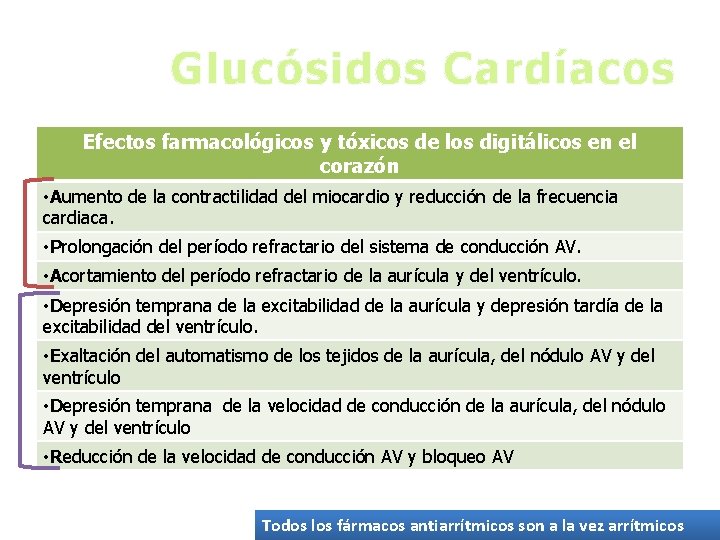 Glucósidos Cardíacos Efectos farmacológicos y tóxicos de los digitálicos en el corazón • Aumento