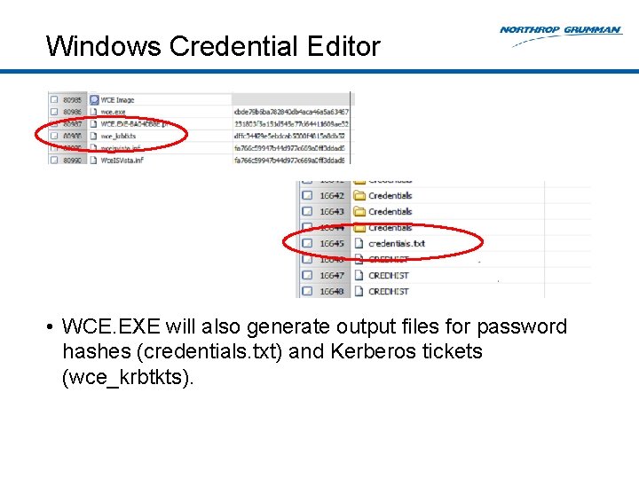 Windows Credential Editor • WCE. EXE will also generate output files for password hashes