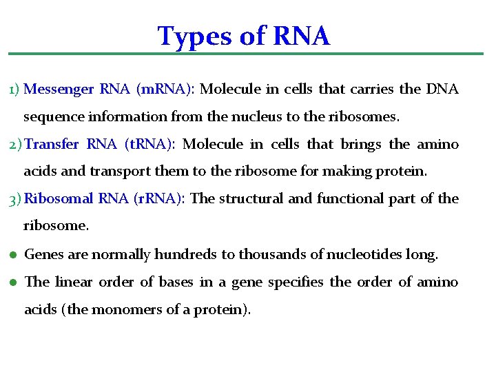 Types of RNA 1) Messenger RNA (m. RNA): Molecule in cells that carries the