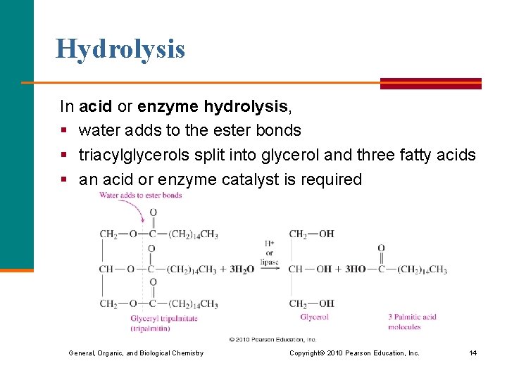 Hydrolysis In acid or enzyme hydrolysis, § water adds to the ester bonds §