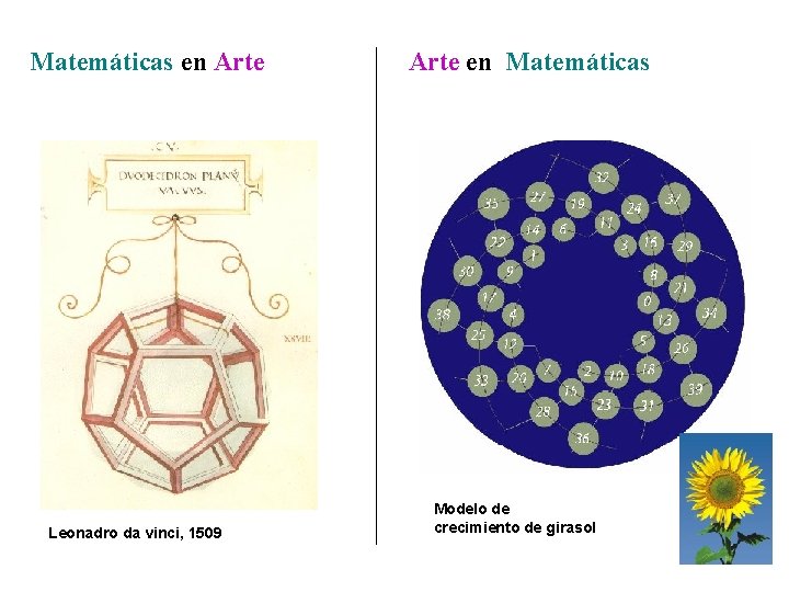 Matemáticas en Arte Leonadro da vinci, 1509 Arte en Matemáticas Modelo de crecimiento de