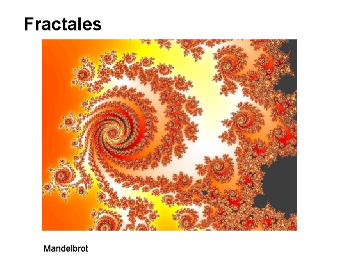 Fractales Mandelbrot 
