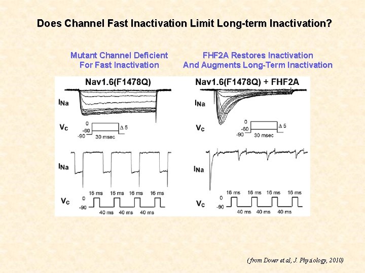 Does Channel Fast Inactivation Limit Long-term Inactivation? Mutant Channel Deficient For Fast Inactivation FHF