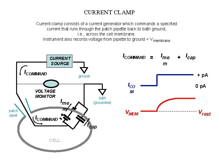 CURRENT CLAMP Current clamp consists of a current generator which commands a specified current