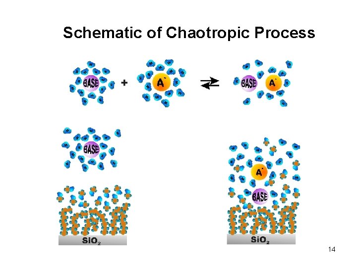 Schematic of Chaotropic Process 14 