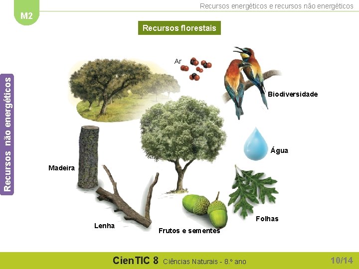 Recursos energéticos e recursos não energéticos M 2 Recursos florestais Recursos não energéticos Ar