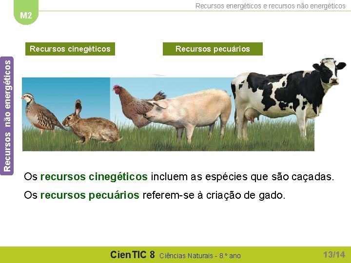 Recursos energéticos e recursos não energéticos M 2 Recursos não energéticos Recursos cinegéticos Recursos