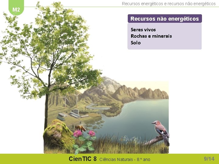 Recursos energéticos e recursos não energéticos M 2 Recursos não energéticos Seres vivos Rochas