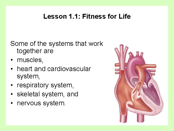 Lesson 1. 1: Fitness for Life Some of the systems that work together are