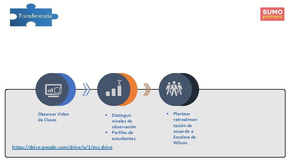  Transferencia Observar Video de Clases § Distinguir niveles de observación § Perfiles de