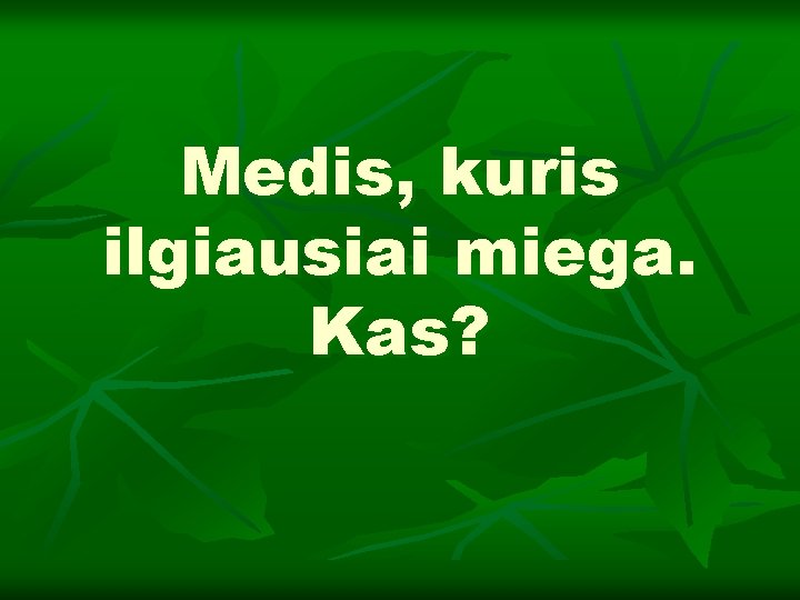 Medis, kuris ilgiausiai miega. Kas? 