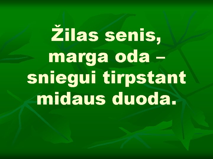 Žilas senis, marga oda – sniegui tirpstant midaus duoda. 