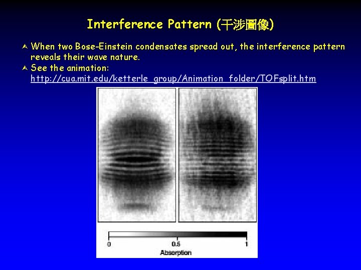 Interference Pattern (干涉圖像) When two Bose-Einstein condensates spread out, the interference pattern reveals their