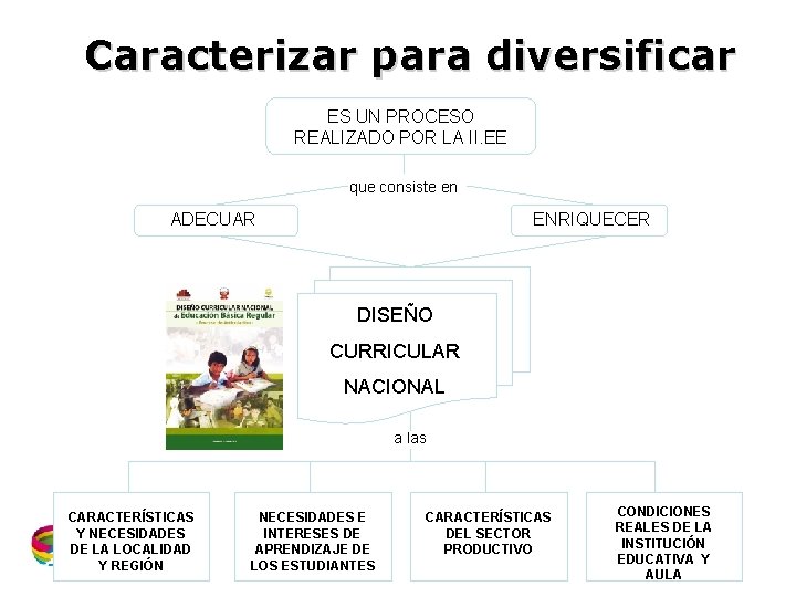 Caracterizar para diversificar ES UN PROCESO REALIZADO POR LA II. EE que consiste en