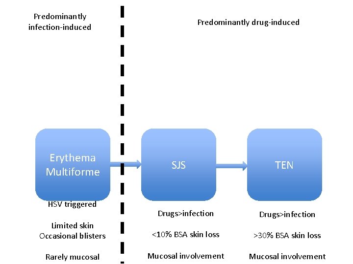 Predominantly infection-induced Erythema Multiforme HSV triggered Predominantly drug-induced SJS TEN Drugs>infection Limited skin Occasional Predominantly infection-induced Erythema Multiforme HSV triggered Predominantly drug-induced SJS TEN Drugs>infection Limited skin Occasional