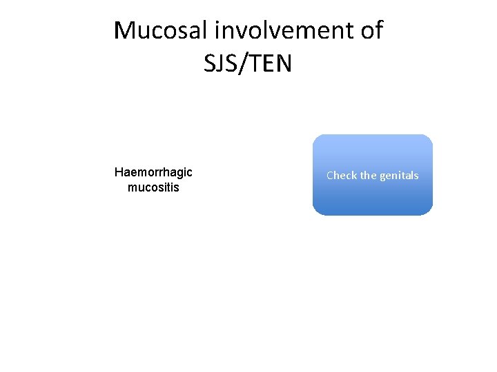 Mucosal involvement of SJS/TEN Haemorrhagic mucositis Check the genitals Mucosal involvement of SJS/TEN Haemorrhagic mucositis Check the genitals