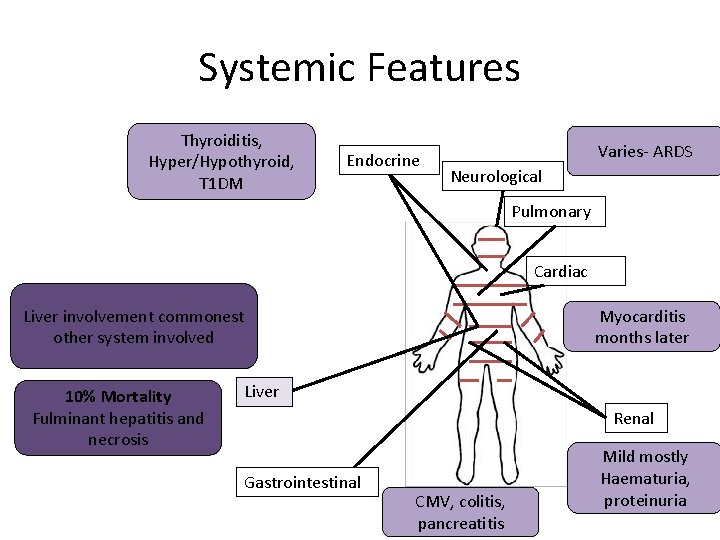 Systemic Features Thyroiditis, Hyper/Hypothyroid, T 1 DM Endocrine Varies- ARDS Neurological Pulmonary Cardiac Myocarditis Systemic Features Thyroiditis, Hyper/Hypothyroid, T 1 DM Endocrine Varies- ARDS Neurological Pulmonary Cardiac Myocarditis