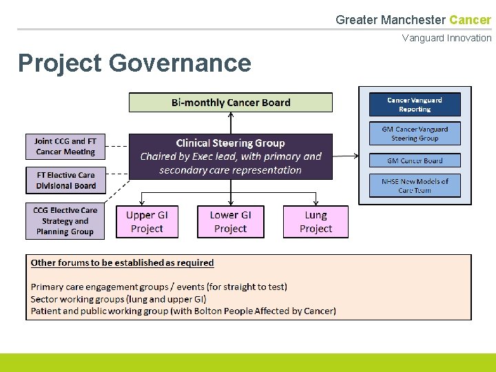 Greater Manchester Cancer Vanguard Innovation Project Governance 