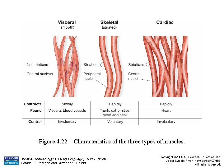 Figure 4. 22 – Characteristics of the three types of muscles. Medical Terminology: A